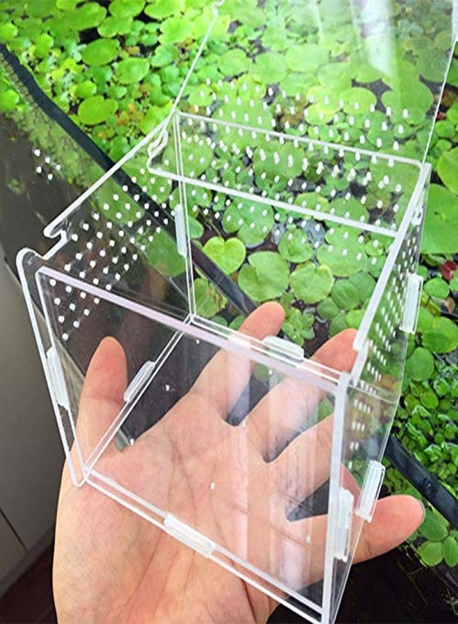 La La Pet® Acrylic Transparent Reptiles Terrarium Spider Breeding Box for Lizard Bearded Dragon Frog Chameleon Geckos Snails Hermit Crabs - Image 3